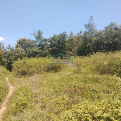 Dijual Tanah Strategis di Palembang Sumatera Selatan Luas 50000m2