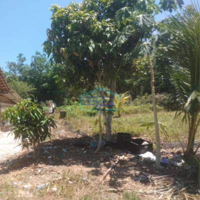 Dijual Tanah Strategis di Palembang Sumatera Selatan Luas 50000m2