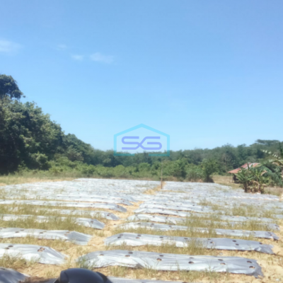 Dijual Tanah Luas di Talang Buluh Banyuasin Palembang Luas Tanah 22000m2