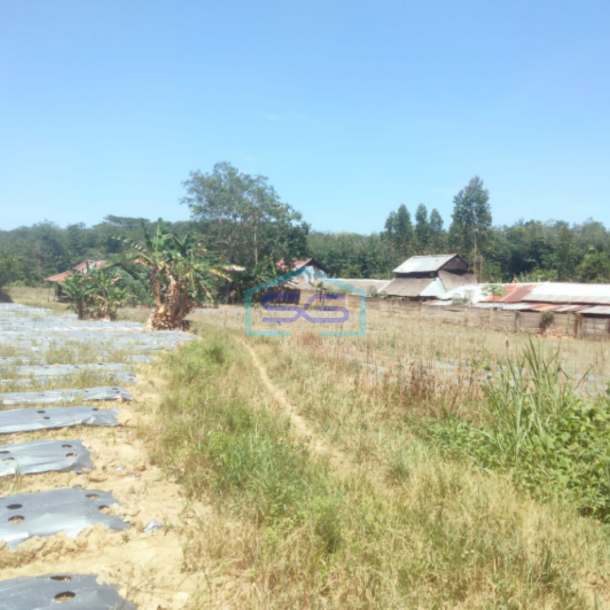 Dijual Tanah Luas di Talang Buluh Banyuasin Palembang Luas Tanah 22000m2-3