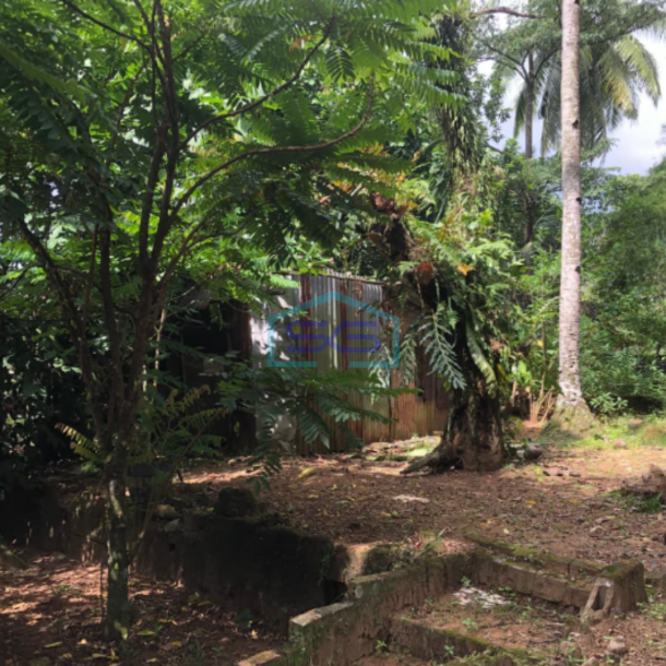 Dijual Tanah Luas Kontur Tinggi, Bebas Banjir, Lokasi Strategis di Banyuasin Sumatera Selatan LT 2700m2-5