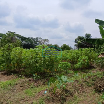 Dijual Tanah Lokasi Strategis di Palembang Sumatera Selatan Luas 3440m2