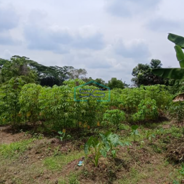 Dijual Tanah Lokasi Strategis di Palembang Sumatera Selatan Luas 3440m2-3