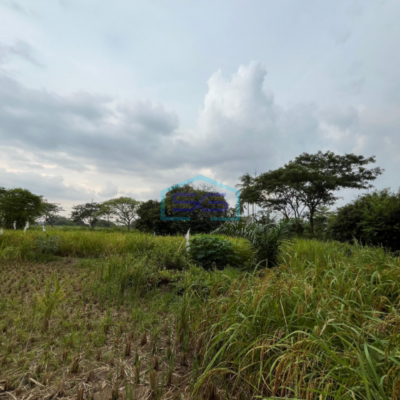 Dijual Tanah di Pinggir Jalan Karya Jaya Palembang Luas Tanah 7930m2