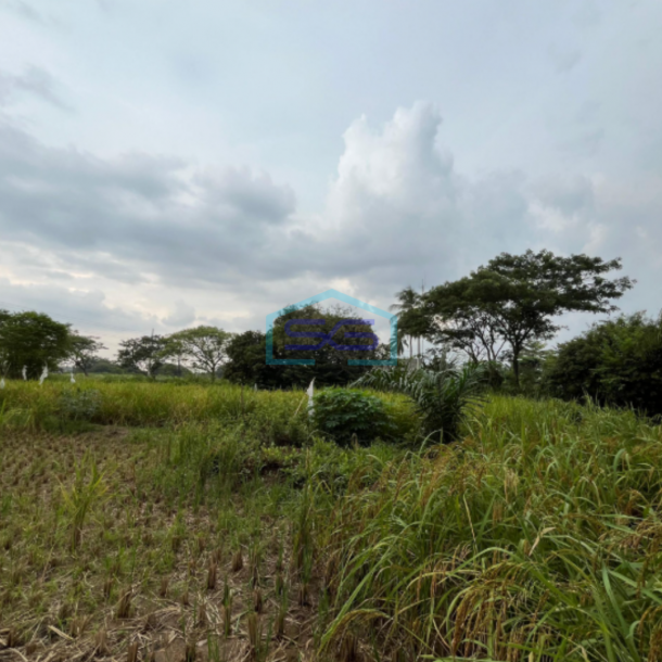 Dijual Tanah di Pinggir Jalan Karya Jaya Palembang Luas Tanah 7930m2-2