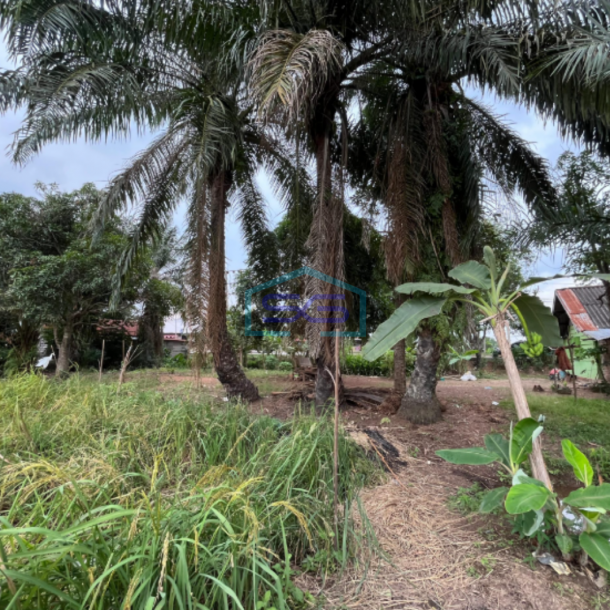 Dijual Tanah di Pinggir Jalan Karya Jaya Palembang Luas Tanah 7930m2-5