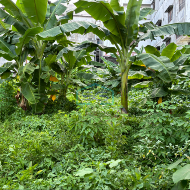 Dijual Tanah Pusat Kota Jalan Palembang Sumatera Selatan LT 1250m2-1