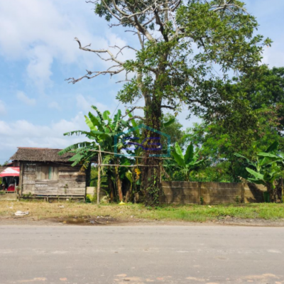 Dijual Tanah Komersial Luas 40000m2 Lokasi Strategis Pinggir Jalan Utama Banyuasin Sumatera Selatan