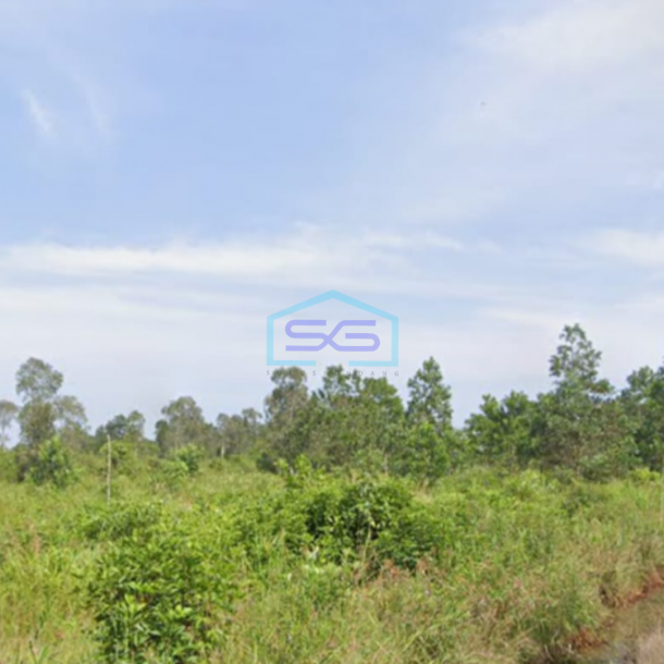 Dijual Tanah Luas 40.000 m² Tanah Subur di Kawasan Berkembang Mariana, Banyuasin Sumatera Selatan-1