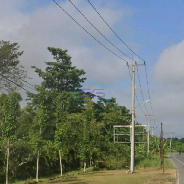 Dijual Tanah Luas 56115m2 Posisi pinggir Jalan Negara Palembang - Indralaya-2