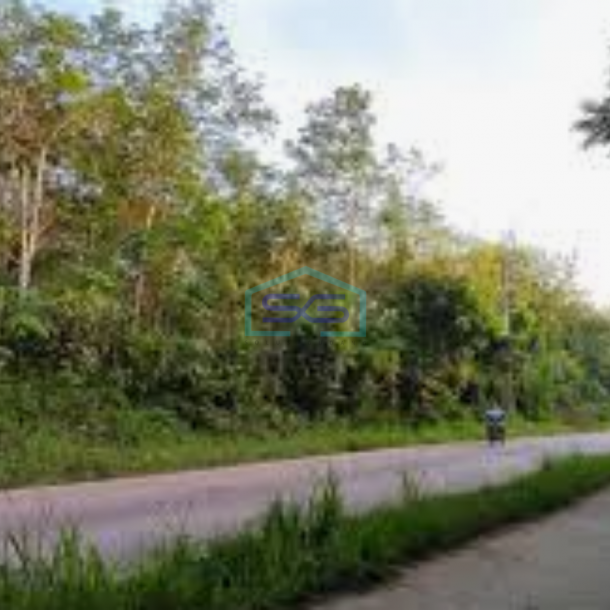 Dijual Tanah di Lingkar Prabumulih Sumatera Selatan Luas Tanah 9280m2-2