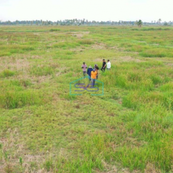 Dijual Tanah Strategis 500 Ha di Tanjung Api-Api Palembang Potensi Besar Kawasan Industri & Logistik-1