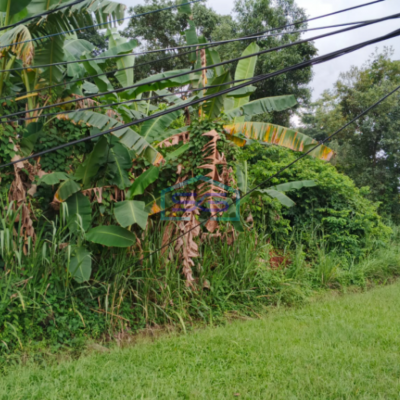 Dijual Tanah di Pinggir Jalan AMD Talang Jambe Palembang Sumatera Selatan LT 1552m2