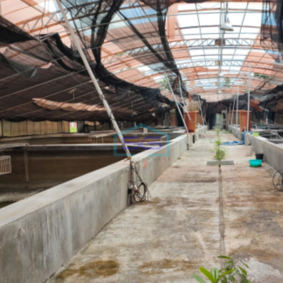 Dijual ex Pabrik Lengkap Dengan Gudang Di Banyuwangi Luas Tanah 29.230 m²