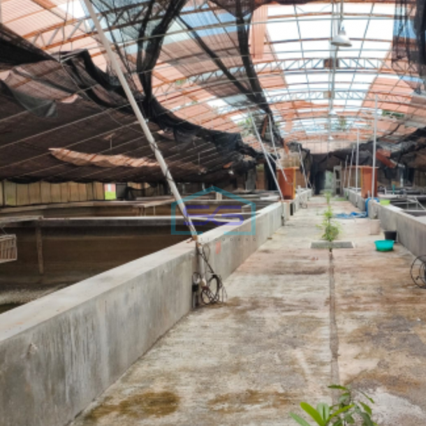 Dijual ex Pabrik Lengkap Dengan Gudang Di Banyuwangi Luas Tanah 29.230 m²-2