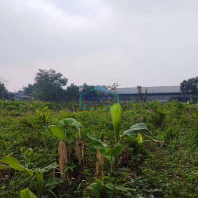 Dijual Gudang di Area Industri Jatake Tangerang Akses Kontener 40 Feet LT 15000m2
