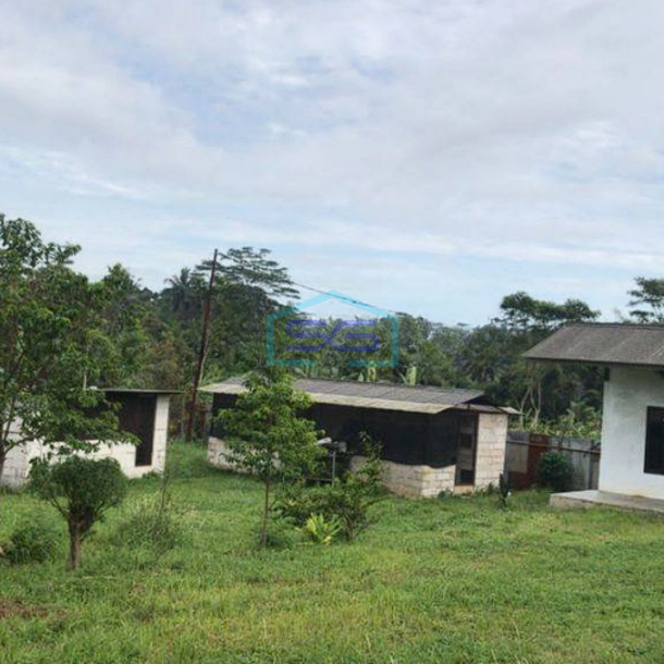 Dijual Gudang Caringin Bogor Dekat Akses Tol Bocimi LT 2100m2-2