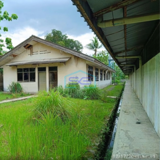 Dijual Gudang Di Cikande Serang Ada Mess Karyawan Kantor Luas Tanah 28000m2-3