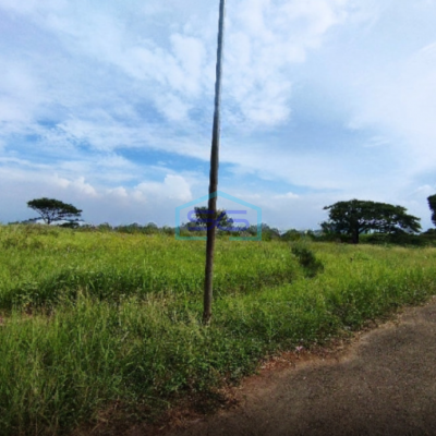 Dijual Tanah Diarea Industri Dawuan Cikampek Luas Tanah  230000 m²