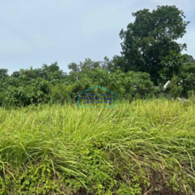 Dijual Tanah Murah Di Balaraja Barat Tangerang Strategis Luas Tanah  75000 m²-2