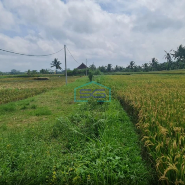 Dijual Tanah Luas Tanah 3,7 Hectare SHM Lokasi di Ubud Gianyar Bali-1