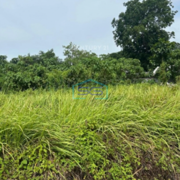 Dijual Tanah Murah Di Balaraja Barat Tangerang Strategis LT 7,5 Ha-1