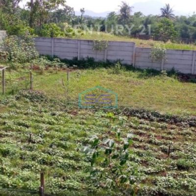 Dijual Gudang Dan Tanah Bagus Siap Pakai Di Majalaya Bandung LT 6300m2-2