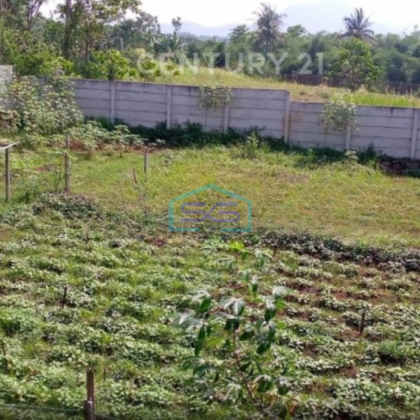 Dijual Gudang Dan Tanah Bagus Siap Pakai Di Majalaya Bandung LB 1800m2-3