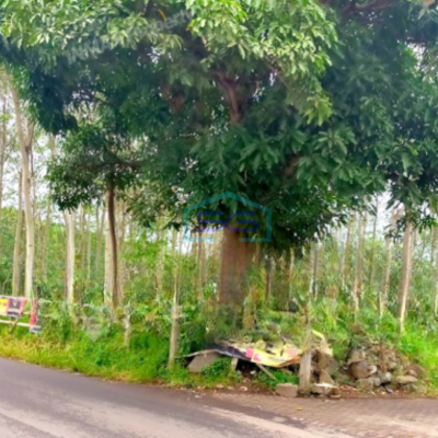 Dijual Tanah Luas 13347 m² Lokasi Bandulan Malang