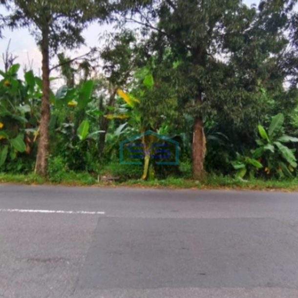 Disewakan Tanah Luas Bagus Strategis di Ngagik Sleman Yogyakarta-1