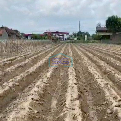 Dijual Tanah Murah Nol Jalan Provinsi Kota Kediri LT 12415m2