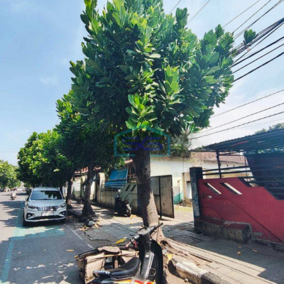 Disewakan Ruang Usaha Strategis di Kota Kediri LB 1600m2