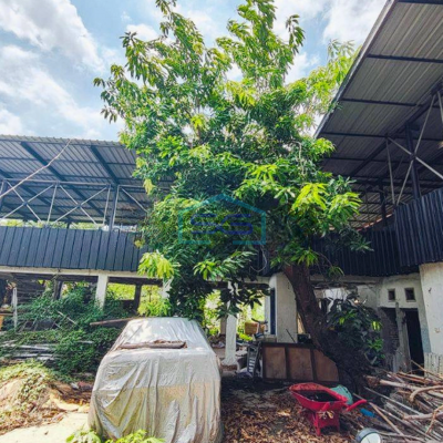 Disewakan Ruang Usaha/ Tanah Di Tengah Kota Sidoarjo Luas Tanah 878m2-2