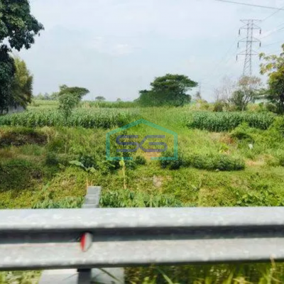 Dijual tanah pertanian di Kediri