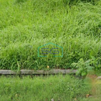 Di sewakan tanah luas di Kediri