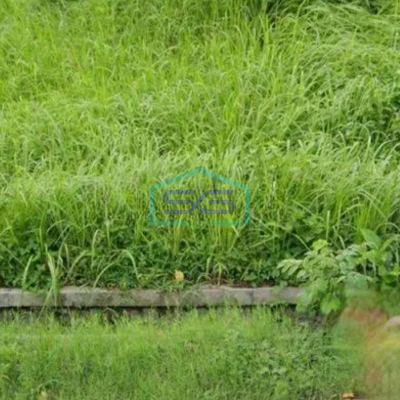 Di sewakan tanah luas di Kediri