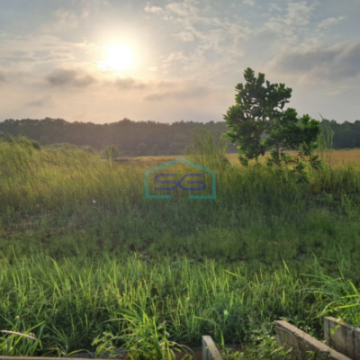 Dijual Tanah Kavling Industri Luas 1,7 Hektar di Daerah Karawang Barat-3