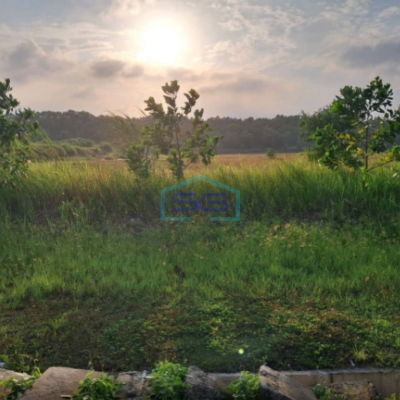 Dijual Tanah Kavling Industri Luas 1,7 Hektar di Daerah Karawang Barat