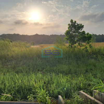 Dijual Tanah Dalam Kawasan Industri Di Karawang Barat Bebas Banjir LT 279.258m2