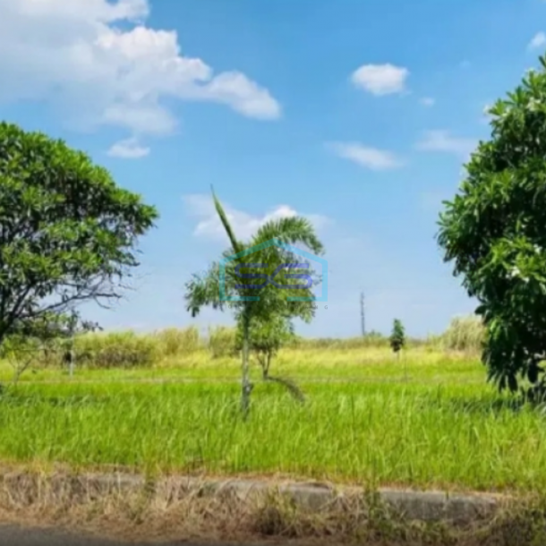 Dijual Cepat Tanah Kavling Industri Surya Cipta Karawang Timur Luas Tanah 35000m2-1