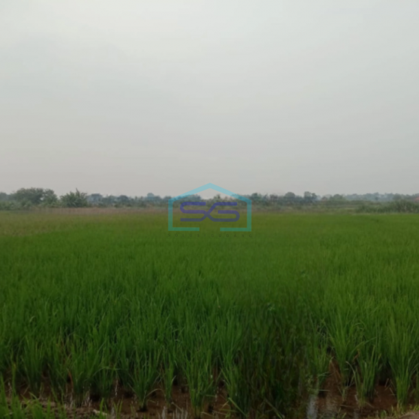 Dijual Cepat Tanah Sawah Cibarusah Jaya Cikarang Bekasi 3918m2-1