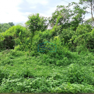 Dijual Cepat Tanah Kavling Industri Delta Silicon Cikarang Luas Tanah 5951m2