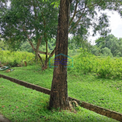 Dijual Cepat Tanah Kavling Industri Delta Silicon Cikarang Luas Tanah 5951m2