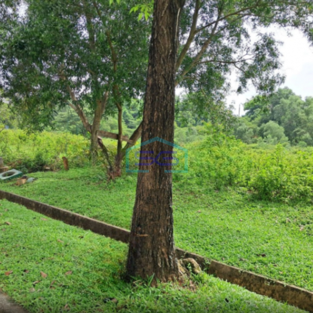 Dijual Cepat Tanah Kavling Industri Delta Silicon Cikarang Luas Tanah 5951m2-2