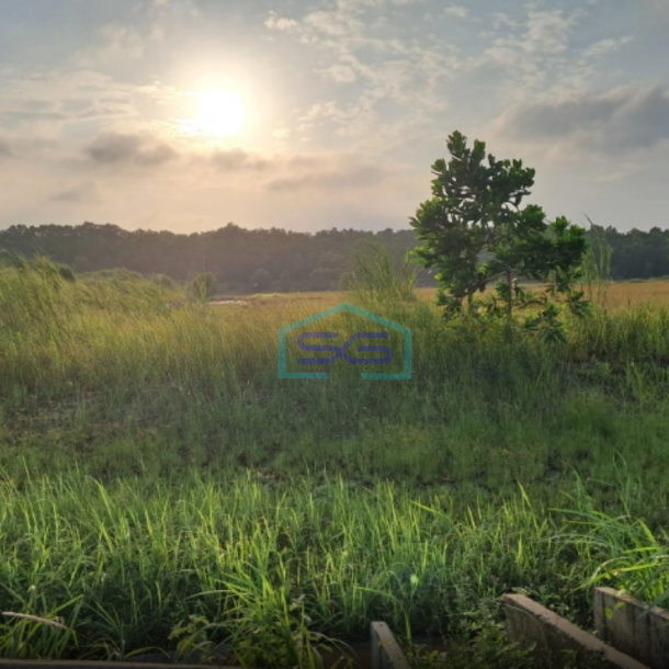 Dijual Tanah Industri Siap Bangun DI Artha Industrial Hill Karawang Jawa Barat Luas Tanah 15000 m²-3