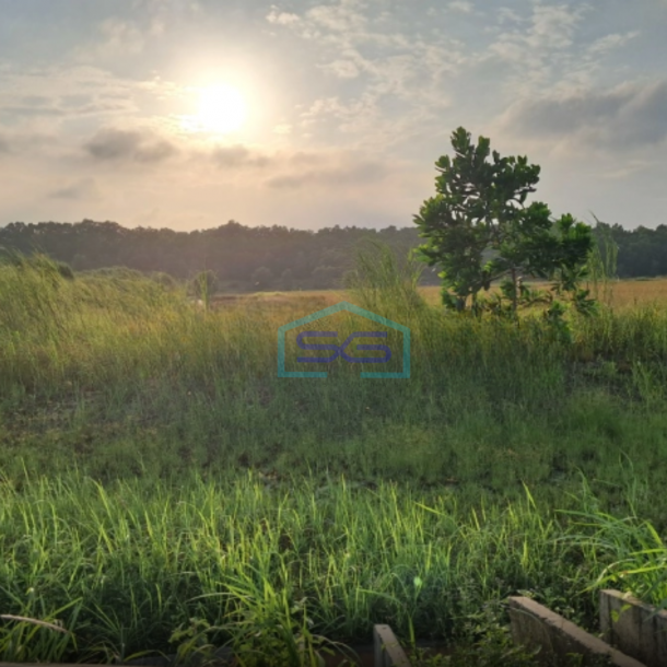 Dijual Tanah Industri Di Karawang Barat Artha Industrial Hill Jawa Barat Luas Tanah  279258 m²-2