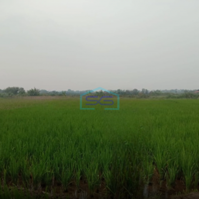 Dijual Cepat Tanah Di Cibarusah Jaya Cikarang jawa Barat Luas Tanah  3918 m²