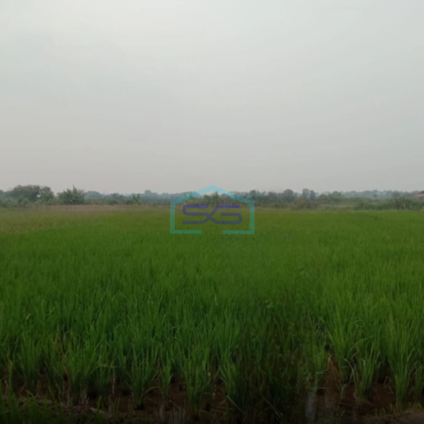 Dijual Cepat Tanah Di Cibarusah Jaya Cikarang jawa Barat Luas Tanah  3918 m²-1