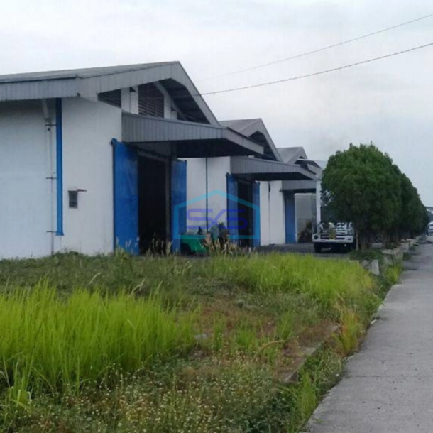 Disewakan Gudang Dalam Kawasan Pergudangan Oleg Balaraja Tangerang LT 100000m2-1
