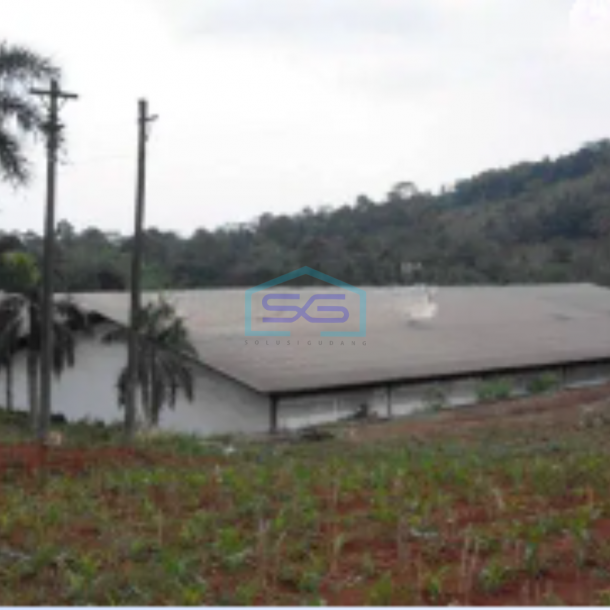 Dijual Pabrik Gringsing Batang LT 50000m2-1